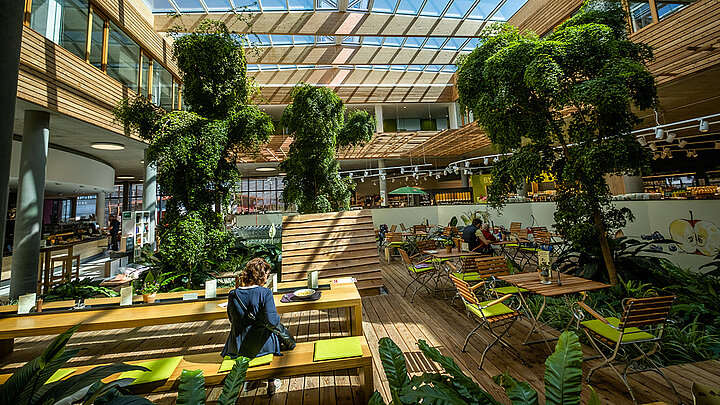 Byodo Mühlendorf mit großen Glasdachfenstern, viel Grünpflanzen und Sitzbereich in natürlicher Atmosphäre