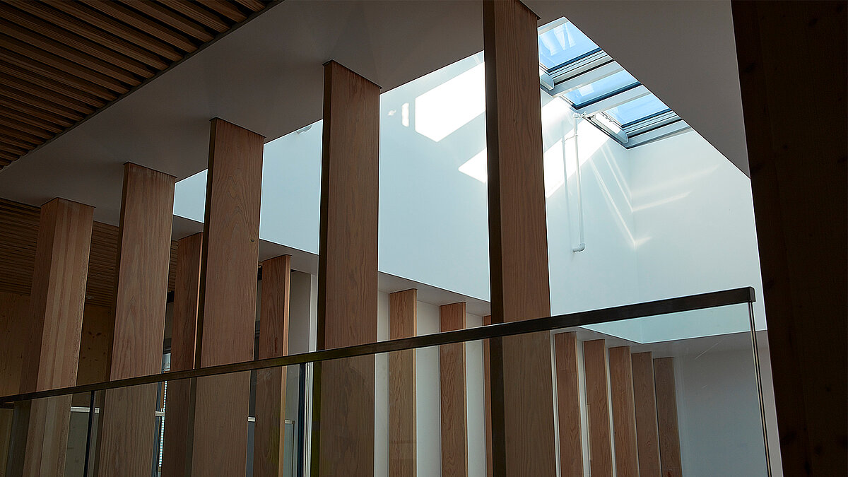 Harris Academy Sutton mit lichtdurchflutetem Atrium, vertikalen Holzstützen und rechteckigem Glasdach