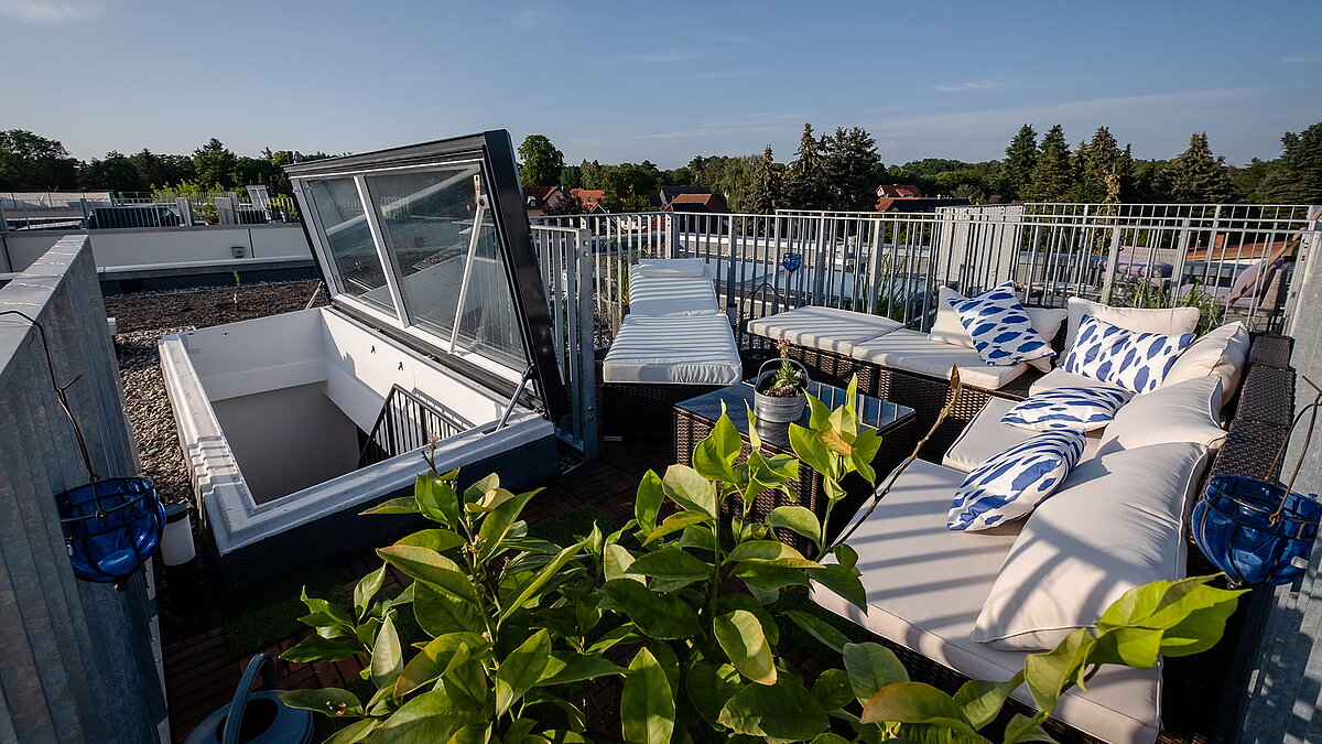 Dachterrasse eines Townhouses in Berlin mit Flachdach Ausstieg, Sitzbereich und Pflanzen.