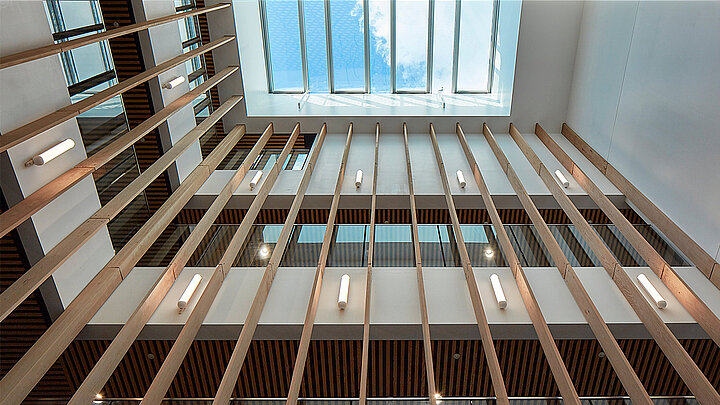 Modernes Atrium mit vertikalen Holzlamellen, Glasfassade und großem Oberlicht