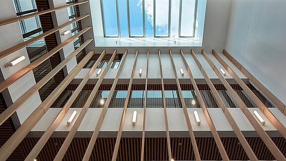 Harris Academy Sutton mit großzügigem Atrium, vertikalen Holzlamellen und großflächigem Glasdach für natürlichen Tageslichteinfall