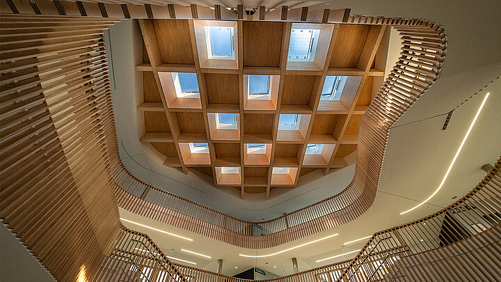 Atrium mit organischer Holzarchitektur und quadratischen Oberlichtern zur natürlichen Tageslichtversorgung