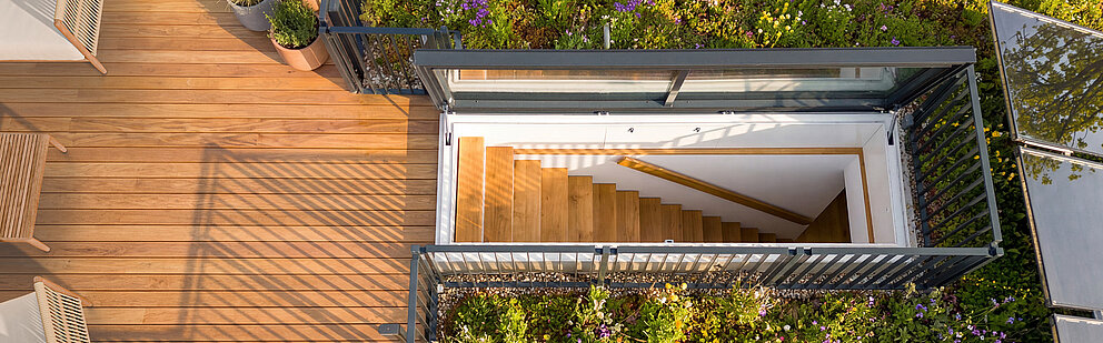 Dachterrasse mit Holzdeck und begrüntem Dach von oben Vogelperspektive auf Dachterrasse mit Holzdeck, Treppenhaus, Glasgeländer und blühender Dachbegrünung