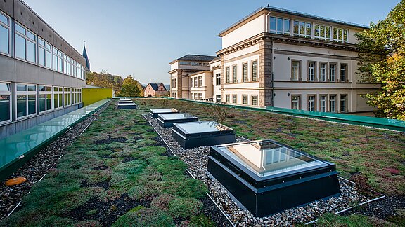 Begrüntes Flachdach mit Oberlichtern am Markgraf-Georg-Friedrich-Gymnasium in Kulmbach, umgeben von historischen Gebäuden.
