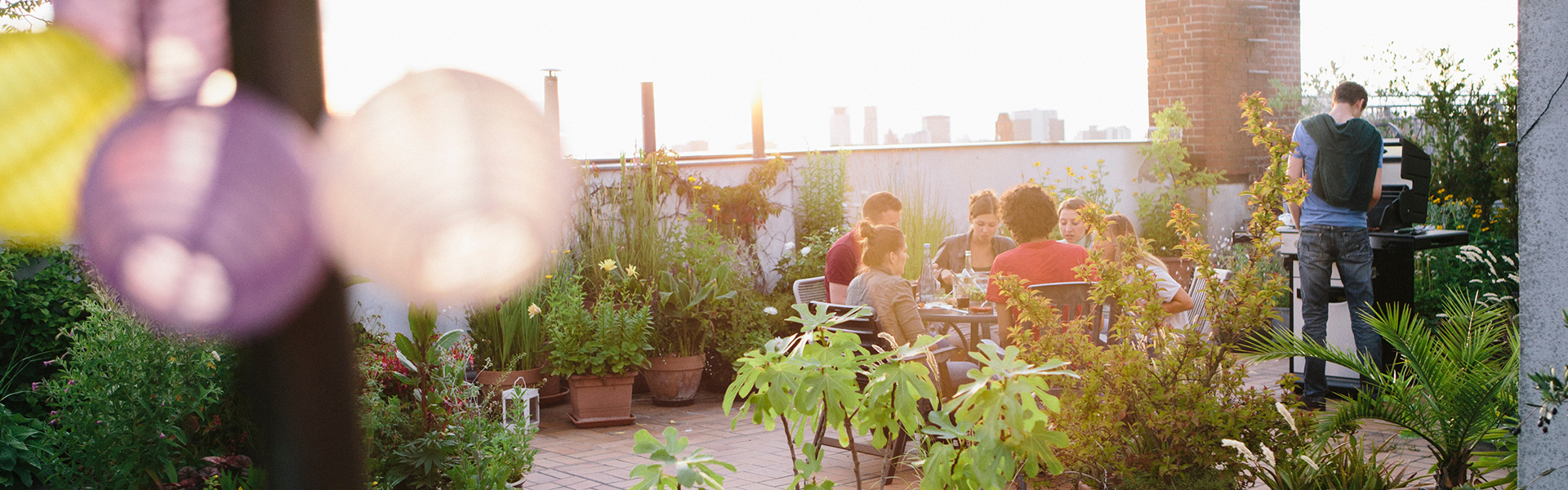 Begrünte Dachterrasse mit Menschen bei Sonnenuntergang.