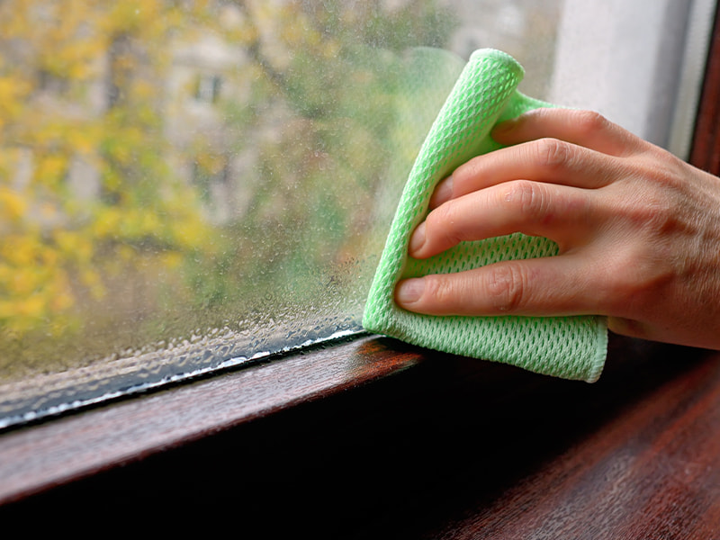 Person wischt mit einem grünen Tuch das Kondenswasser am Fenster ab.