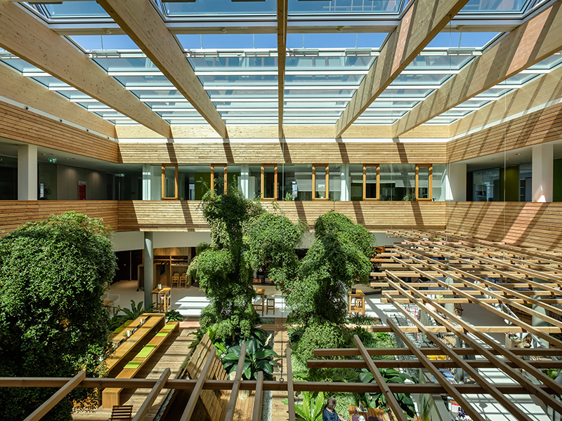 Helles Bürogebäude-Atrium mit Holzbalken, Glasdach, üppigen Grünpflanzen und Holzmöbeln