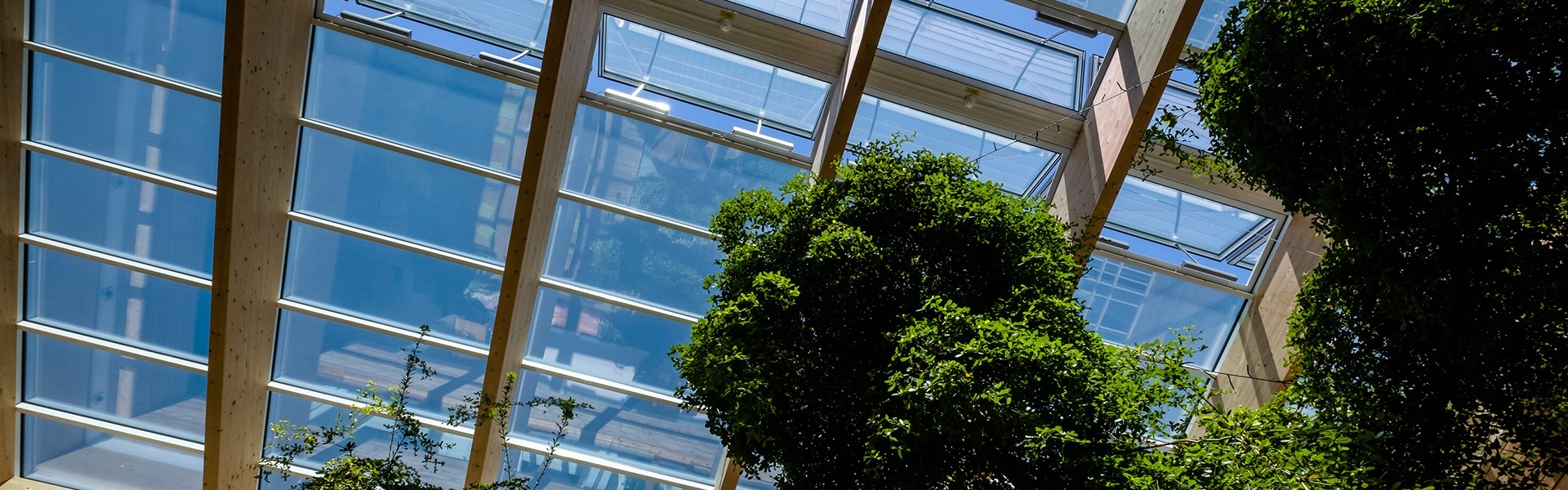 Begrüntes Atrium mit Glasdach, Holzträgern und natürlichem Tageslichteinfall