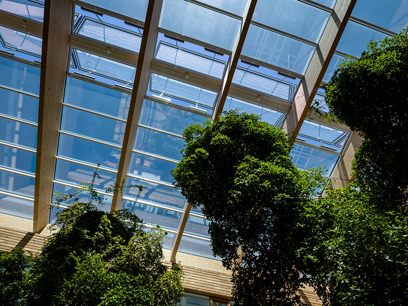 Begrüntes Atrium mit Glasdach, Holzträgern und natürlichem Tageslichteinfall